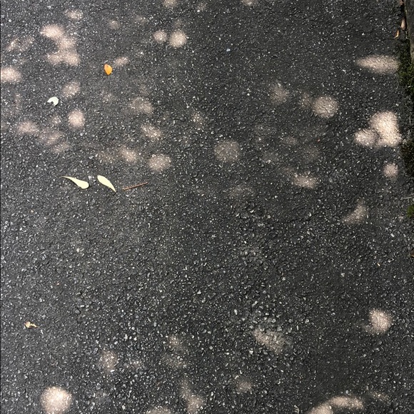 Meet your Posher, Shauna - Picture 1 of 1